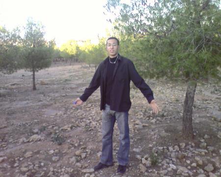 voila la foret