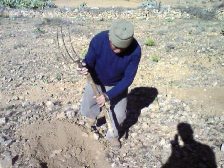 jadi achour