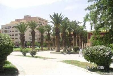 trubenal de oujda