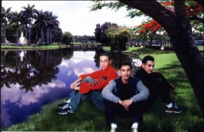 laid 2005